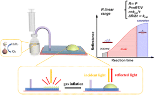 Graphical abstract: A flexible optical gas pressure sensor as the signal readout for point-of-care immunoassay