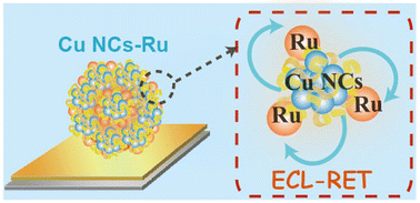 Graphical abstract: Copper nanocluster-Ru(dcbpy)32+ as a cathodic ECL-RET probe combined with 3D bipedal DNA walker amplification for bioanalysis