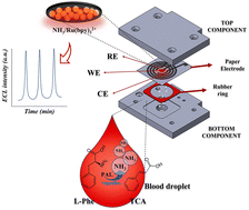 Graphical abstract: An ECL sensor combined with a paper electrode for the determination of phenylalanine