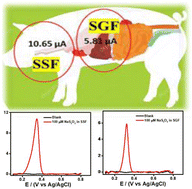 Graphical abstract: Sensitive electrochemical detection of metabisulphite in gastrointestinal fluids