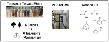 Graphical abstract: Exploring volatile organic compound emission from thermally modified wood by PTR-ToF-MS