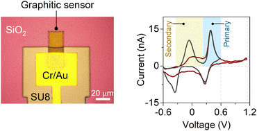 Graphical abstract: Unraveling the complex electrochemistry of serotonin using engineered graphitic sensors