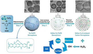 Graphical abstract: A template-free assembly of Cu,N-codoped hollow carbon nanospheres as low-cost and highly efficient peroxidase nanozymes