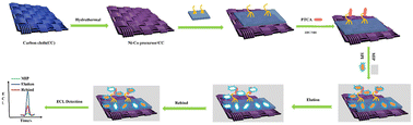 Graphical abstract: A robust molecularly imprinted electrochemiluminescence sensor based on a Ni–Co nanoarray for the sensitive detection of spiramycin