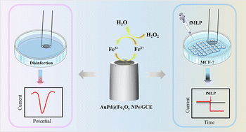 Graphical abstract: An electrochemical sensor based on AuPd@FexOy nanozymes for a sensitive and in situ quantitative detection of hydrogen peroxide in real samples