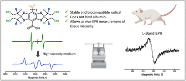 Graphical abstract: Synthesis and characterization of a biocompatible 13C1 isotopologue of trityl radical OX071 for in vivo EPR viscometry