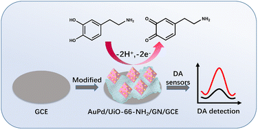Graphical abstract: A novel electrochemical sensor based on AuPd/UiO-66-NH2/GN composites for sensitive dopamine detection