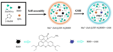 Graphical abstract: Self-assembled nanoplatforms with ZIF-8 as a framework for FRET-based glutathione sensing in biological samples
