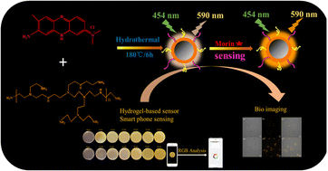 Graphical abstract: The highly sensitive “turn-on” detection of morin using fluorescent nitrogen-doped carbon dots