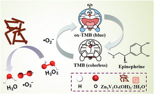 Graphical abstract: Zinc pyrovanadate nanorods with excellent peroxidase-like activity at physiological pH for the colorimetric assay of H2O2 and epinephrine