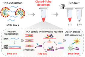 Graphical abstract: Visualized RNA detection of SARS-CoV-2 in a closed tube by coupling RT-PCR with nested invasive reaction