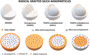 Graphical abstract: Hyperpolarized 29Si magnetic resonance spectroscopy of selectively radical-embedded silica nanoparticles