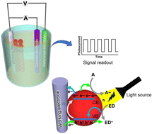 Graphical abstract: Semiconductor quantum dots in photoelectrochemical sensors from fabrication to biosensing applications