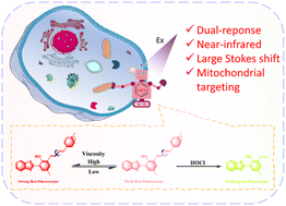 Graphical abstract: A dual-response mitochondria-targeted NIR fluorescent probe with large Stokes shift for monitoring viscosity and HOCl in living cells and zebrafish