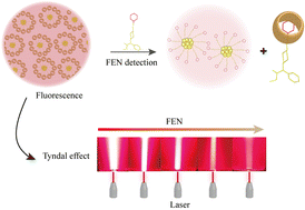 Graphical abstract: Cucurbituril-protected dual-readout gold nanoclusters for sensitive fentanyl detection