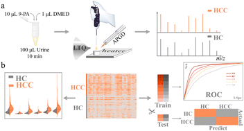 Graphical abstract: Screening of hepatocellular carcinoma via machine learning based on atmospheric pressure glow discharge mass spectrometry