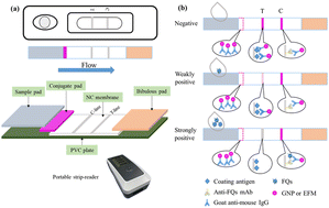 Graphical abstract: Fluorescent strip sensor for rapid and ultrasensitive determination of fluoroquinolones in fish and milk