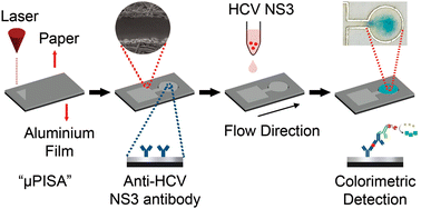 Graphical abstract: Fabrication and development of a microfluidic paper-based immunosorbent assay platform (μPISA) for colorimetric detection of hepatitis C