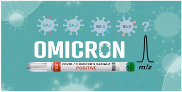 Graphical abstract: Resolving omicron sub-variants of SARS CoV-2 coronavirus with MALDI mass spectrometry