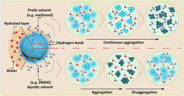 Graphical abstract: Carbon dots with hydrogen bond-controlled aggregation behavior
