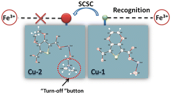 Graphical abstract: An ultra-fast UV-electrochemical sensor based on Cu-MOF for highly sensitive and selective detection of ferric ions