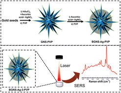 Graphical abstract: A hybrid plasmonic nanoprobe using polyvinylpyrrolidone-capped bimetallic silver–gold nanostars for highly sensitive and reproducible solution-based SERS sensing