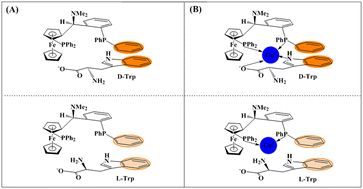 Graphical abstract: A chiral sensing platform based on a multi-substituted ferrocene–cuprous ion complex for the discrimination of electroactive amino acid isomers