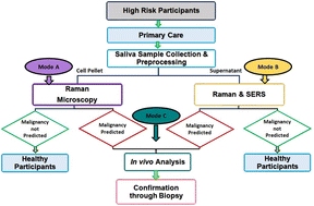 Graphical abstract: Mobile multi-configuration clinical translational Raman system for oral cancer application