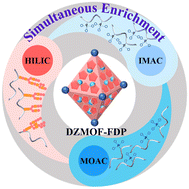 Graphical abstract: Simultaneous enrichment optimization of glycopeptides and phosphopeptides with the highly hydrophilic DZMOF-FDP