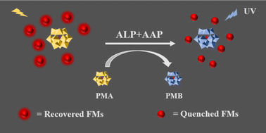 Graphical abstract: A dual-mode system based on molybdophosphoric heteropoly acid and fluorescent microspheres for the reliable and ultrasensitive detection of alkaline phosphatase