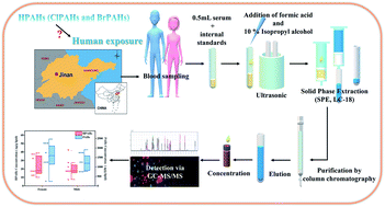 Graphical abstract: Ultrasensitive determination of 39 parent and emerging halogenated polycyclic aromatic hydrocarbons in human serum