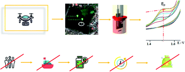 Graphical abstract: In situ voltammetric analysis of 2,4-dichlorophenoxyacetic acid in environmental water using a boron doped diamond electrode and an adapted unmanned air vehicle sampling platform