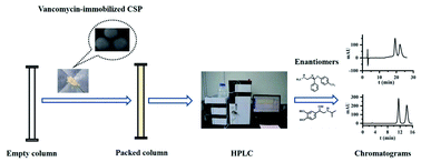 Graphical abstract: Enantioseparation in high performance liquid chromatography: preparation and evaluation of a vancomycin-based chiral stationary phase via surface-initiated atom transfer radical polymerization