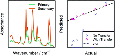 Graphical abstract: Calibration model transfer in mid-infrared process analysis with in situ attenuated total reflectance immersion probes