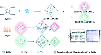 Graphical abstract: A minimalist fluorescent MOF sensor array for Baijiu identification