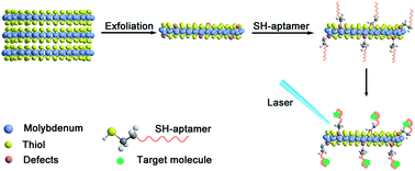Graphical abstract: Aptamer-conjugated MoS2 for enrichment and direct detection of small molecules in laser desorption/ionization mass spectrometry