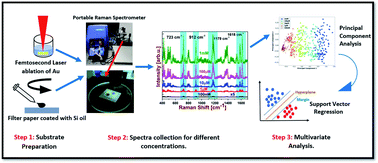 Graphical abstract: Machine learning for rapid quantification of trace analyte molecules using SERS and flexible plasmonic paper substrates