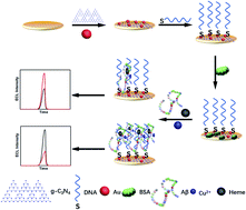 Graphical abstract: A dual-mechanism-driven electrochemiluminescence aptasensor for sensitive detection of β-amyloid peptides