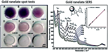Graphical abstract: Analytical determination of gold ions based on ranelate induced nanoparticle formation