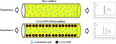 Graphical abstract: Enhanced enantioseparation of drugs by capillary electrochromatography with a l-cysteine functionalized gold nanoparticle based stationary phase