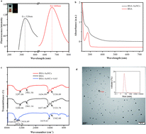 Graphical abstract: The recognition of aristolochic acid I based on fluorescence quenching of bovine serum albumin-stabilized gold nanoclusters