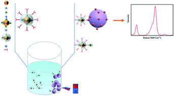 Graphical abstract: Rapid and sensitive detection of amphetamine by SERS-based competitive immunoassay coupled with magnetic separation