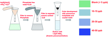 Graphical abstract: A blue arsenomolybdic acid-crystal violet ion-associate pair paving the way for the field detection of arsenic in groundwater