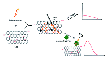 Graphical abstract: A FRET-based aptasensor for the detection of α-synuclein oligomers as biomarkers of Parkinson's disease