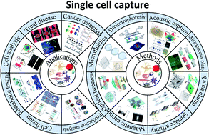 Graphical abstract: Advances in precise single-cell capture for analysis and biological applications