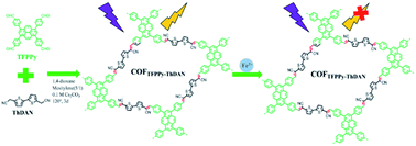 Graphical abstract: Designed synthesis of an sp2 carbon-conjugated fluorescent covalent organic framework for selective detection of Fe3+