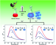 Graphical abstract: A dual-channel “on–off–on” fluorescent probe for the detection and discrimination of Fe3+ and Hg2+ in piggery feed and swine wastewater