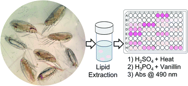 Graphical abstract: Rapid measurement of total lipids in zooplankton using the sulfo-phospho-vanillin reaction