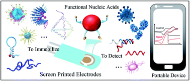 Graphical abstract: Screen-printed electrode-based biosensors modified with functional nucleic acid probes and their applications in this pandemic age: a review