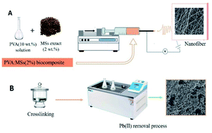 Graphical abstract: Removal of lead from aqueous solution using electrospun nanofibers: preparation, characterization, adsorption isotherm, and kinetic study